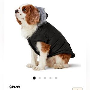 *Royal Blue* BAILEY & Bella Parka with Faux Fur Trim